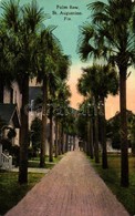 ** T1 St. Augustine, Palm Row - Zonder Classificatie