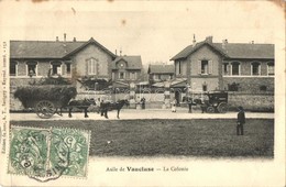 T3 Asile De Vaucluse, La Colonie / Colony, TCV Card (EB) - Unclassified