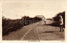 ** T2 Aden, Jopp Promenade - Ohne Zuordnung