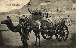 * T3 Aden, Water Cart, Camel, Folklore (fa) - Non Classificati