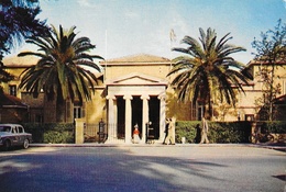 Chypre - Cyprus - Nicosia Museum - Carte Non Circulée - Cyprus