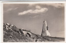 Cp , MILITARIA , Monument "Aux Diables Bleus" Au Grand Ballon - Kriegerdenkmal