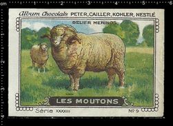 German Poster Stamps, Reklamemarke, Cinderellas, Sheep, Schaf, Animal, Farm, Tier, Buck, Ram, Widder, Lamb, Lam - Verhalen, Fabels En Legenden