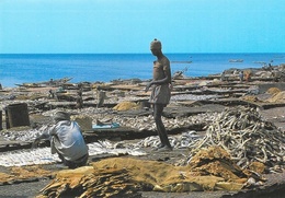 Sénégal - Pêche: Séchage Des Poissons - Edition Wakhatilene, Saint-Louis - Carte N° 15 Non Circulée - Sénégal