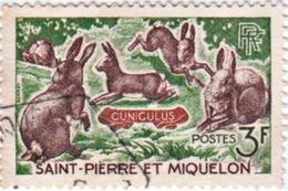 WILD RABBITS 3f POSTAGE STAMP ST.PIERRE & MIQUELON 1964 USED/GOOD - Gebruikt