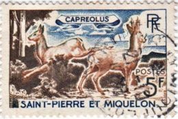DDER 5f POSTAGE STAMP ST.PIERRE & MIQUELON 1964 USED/GOOD - Used Stamps