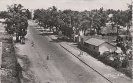 Afrique - Congo - Brazzaville - Avenue De Poto-Poto  - 1951 - Brazzaville