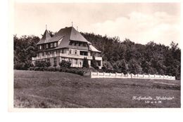 Kaffeehalle " Waldrain" St Chrischona - Other & Unclassified