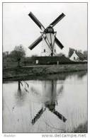 DAMME (W.Vl.) - Molen/moulin/mill - De Scellemolen Weerspiegelt Zich In De Damse Vaart (1994). - Damme
