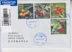 ROMANIA 2017 :  WILD BERRIES 4 Stamps On Cover To GERMANY And Back - Envoi Enregistre! Registered Shipping! - Gebraucht