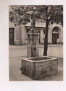 CPM PHOTO ASCHERSLEBEN HOLZMARKTBRUNNEN - Aschersleben