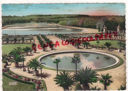 78- VERSAILLES- L' ORANGERIE ET PIECE D' EAU DES SUISSES -1950 PALMIER PALMIERS - Versailles