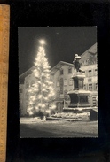 BAD TÖLZ  ( Wolfratshausen ) Weihnacht Baum Sapin De Noël Christmas Tree - Bad Toelz