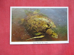 Giant  Florida  Sea  Turtle>   =ref 2797 - Tortues