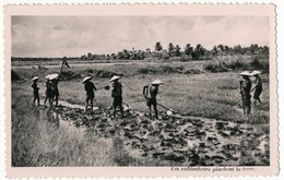 CPSM Carte Photo - INDOCHINE - Les Cultivateurs Piochent La Terre - Vietnam