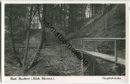 Bad Buckow - Teufelsbrücke - Foto-Ansichtskarte - Verlag Max O'Brien Berlin - Buckow