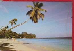 BEAU VALLON TOWARDS BEL OMBRE MAHE SEYCHELLES POSTCARD - Seychellen