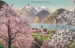 Sisikon Und Urirotstock (11575) * 24. 4. 1910 - Sisikon