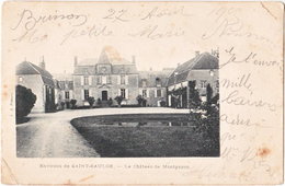 58. Environs De SAINT-SAULGE. Le Château De Montgazon - Sonstige Gemeinden