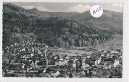 CPM - 18010-Allemagne - Waldkirch Im Breisgau Aus Der Vogelschau -Envoi Gratuit - Waldkirch