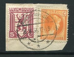 LUXEMBOURG- Y&T N°166 Et 213- Oblitérés Sur Fragment - Otros & Sin Clasificación