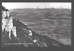 Les Alpes Et La Plaine Vues Du Mont De Baulmes - Baulmes