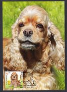 BELARUS 2017 DOG - AMERICAN COCKER SPANIEL - Hunde