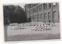 37287  -  Bruxelles   St  Gilles   école  -  Gymnastique -  Photo  14,5  X  9,5 - St-Gilles - St-Gillis