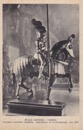 AK Torino - Reale Armeria - Armatura Equestre Completa - Appartenne Ad Un Martinengo - Sec. XVI (32511) - Museums