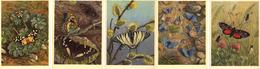 Zeltner, C. Schmetterlinge Lot Mit 25 Schweizer Künstler-Karten I-II - Non Classificati