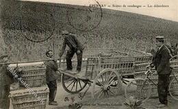 Wein Epernay (51200) Frankreich Weinlese 1907 I-II (fleckig) Vigne - Exhibitions