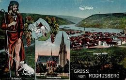 Wein Rochusberg I-II Vigne - Ausstellungen