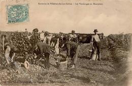 Wein Saone (25660) Frankreich Weinlese I-II Vigne - Esposizioni