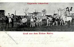 Zirkus Malve Ungarn 1915 I-II - Zirkus