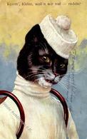 Katze Personifiziert Künstler-Karte 1910 I-II (abgestoßen) Chat - Gatti