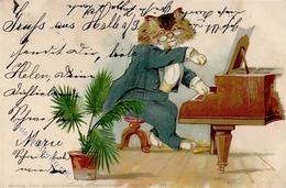 Katze Personifiziert Lavier TSN-Verlag 5276 Künstlerkarte 1898 I-II Chat - Gatti