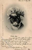 Katze Personifiziert Sign. Reichert, C. TSN-Verlag 5559 Künstlerkarte 1899 I-II (fleckig) Chat - Gatti