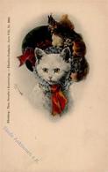 Katze Personifiziert Sign. Reichert, C. TSN-Verlag 5562 Künstlerkarte I-II Chat - Katten