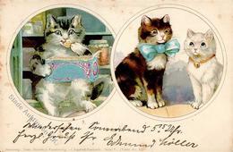 Katze Personifiziert TSN-Verlag 637 Künstlerkarte 1901 I-II (fleckig) Chat - Katzen