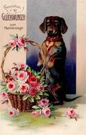 Dackel Glückwunsch Prägedruck 1906 I-II - Honden