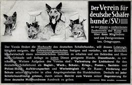 Schäferhund Der Verein Für Deutsche Schäferhunde I-II - Dogs