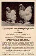 Huhn Taschenbuch Der Rassegeflügelzucht Werbe AK I-II - Sonstige & Ohne Zuordnung