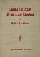 Buch WK II Neuadel Aus Blut Und Boden Darre, R. Walter 1930 Seltene Erstausgabe Verlag J. F. Lehmanns 231 Seiten II - Guerra 1939-45
