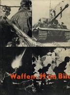 Buch WK II SS Waffen SS Im Bild 2. Aufl. Bildband Verlag Plesse 245 Seiten Sehr Viele Abbildungen Schutzumschlag II - Guerra 1939-45