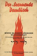 Judaika Buch Der Brennende Dornbusch Mystik Im Dienste Jüdischer Weltherrschaft Petersen, Jens 1938 Bodung Verlag 31 Sei - Jodendom