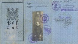 Judaika Litauen Pass 1919 I-II (altersbedingete Gebrauchsspuren) Judaisme - Jodendom