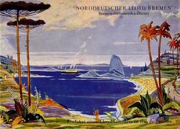 Dampfer Rio De Janeiro Brasilien Dampfer Norddeutscher Lloyd  Künstlerkarte I-II - Guerra