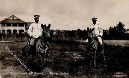 Kolonien Deutsch Ostafrika Dar-es-Salaam Schutztruppe Auf Zebras Foto AK I- Colonies - Storia