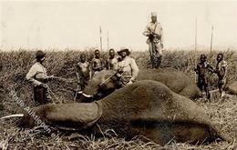 Kolonien Deutsch-Ostafrika Jagd Elefant Stpl. Dar-es-Salaam 16.6.08 Foto-Karte I-II Colonies Chasse - Storia