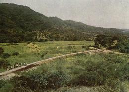 Kolonien Deutsch-Ostafrika Tanganjikabahn Mukondokwa Tal Mit Damm Der Zentralbahn Foto Auf Karton 13 X 9 Cm I-II Colonie - Storia